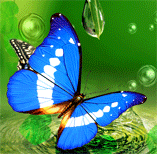 image lenticulaire - simulation papillon